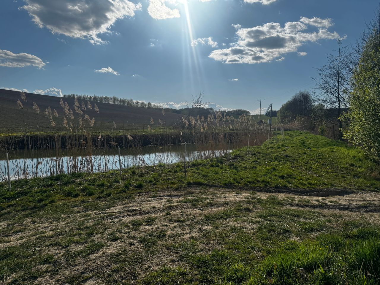 Działka rolno-budowlana Błędowa Zgłobieńska. Zdjęcie 8