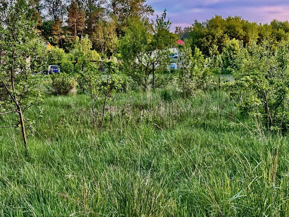 Działka rolna Dretyń. Zdjęcie 6