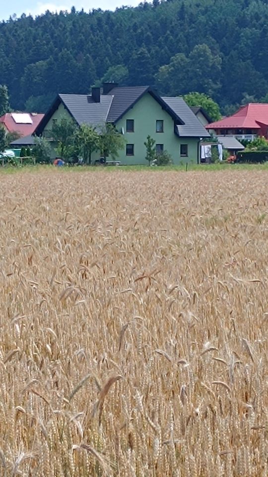 bliźniak, 5 pokoi Stary Sącz, ul. Źródlana. Zdjęcie 17