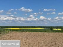 Działka rolno-budowlana Dobroszów. Zdjęcie 2