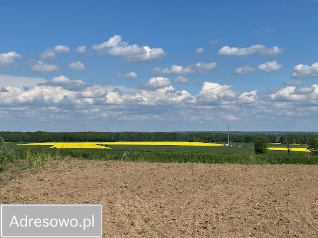 Działka rolno-budowlana Dobroszów. Zdjęcie 3