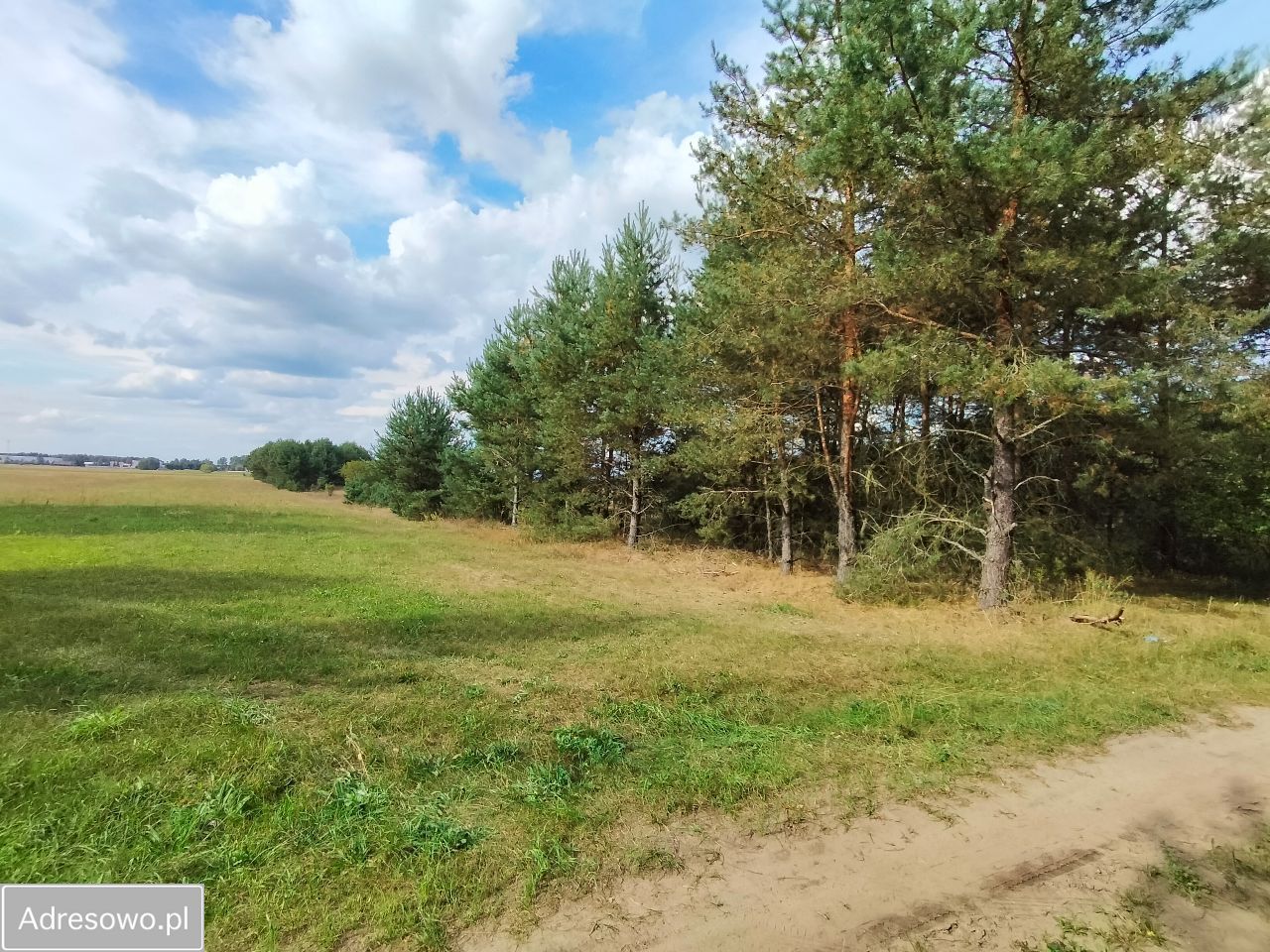 Działka rolna Narew, ul. Szlak Żubra. Zdjęcie 9