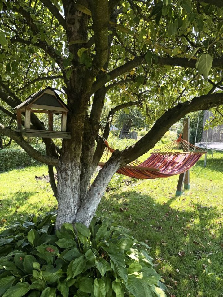 Działka rod Sanok. Zdjęcie 5