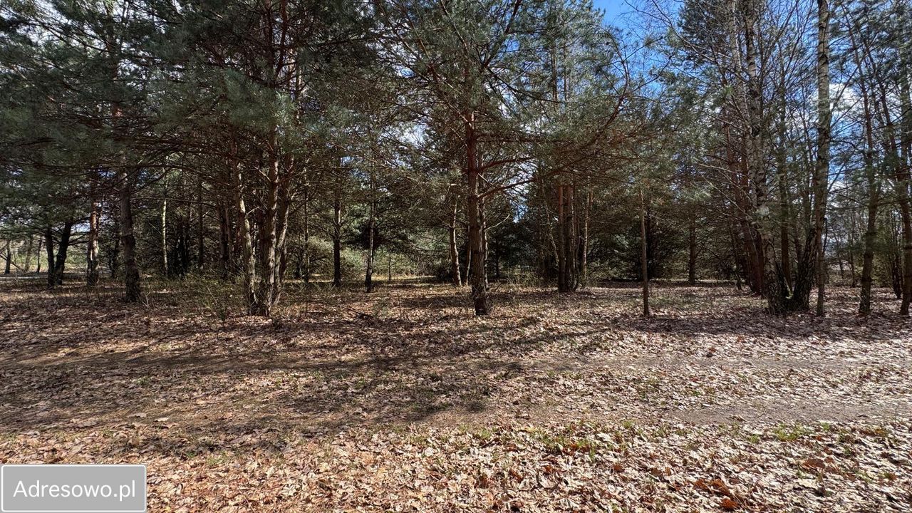 Działka budowlana Ignacówka Bobrowska. Zdjęcie 3