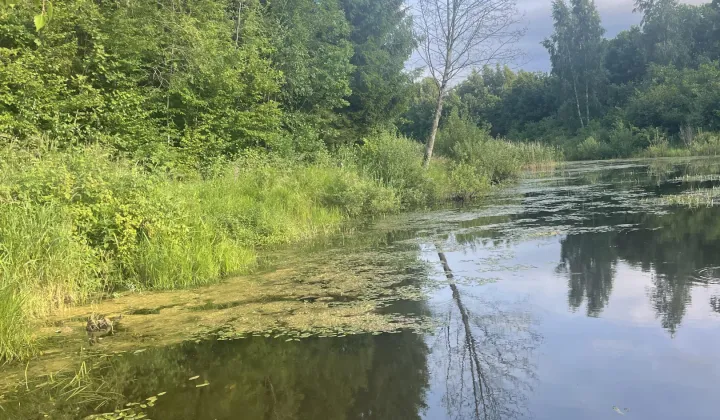 Działka rolna Kozaki