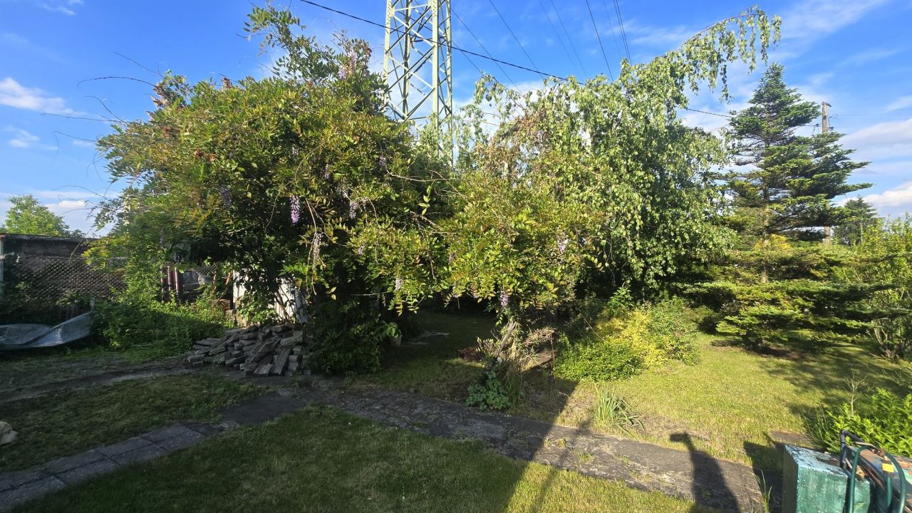 Działka rod Chorzów. Zdjęcie 3