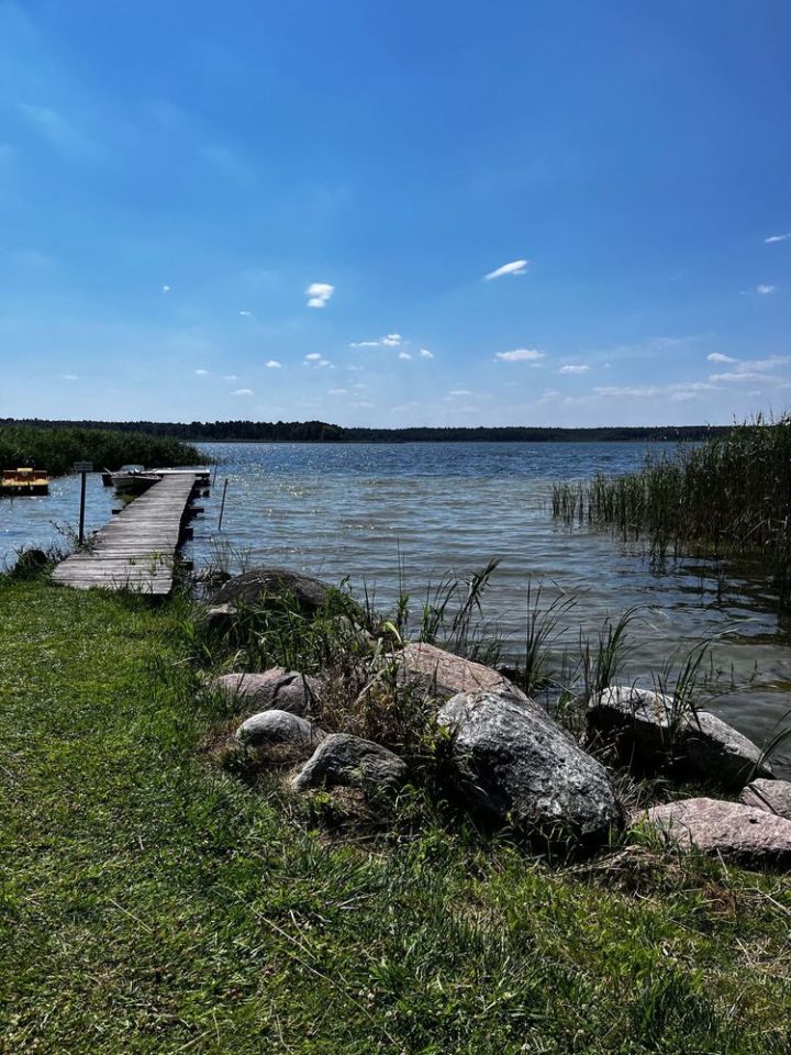 Działka rolno-budowlana Kwik. Zdjęcie 3