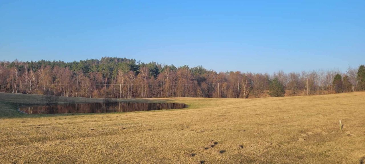 Działka budowlana Kamienica Królewska