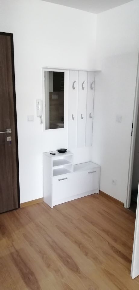 Mieszkanie 1-pokojowe Poznań Naramowice, ul. Karpia. Zdjęcie 10