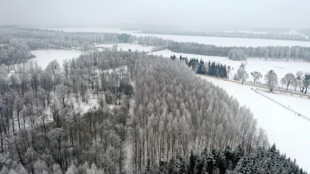 Działka leśna Harsz. Zdjęcie 15