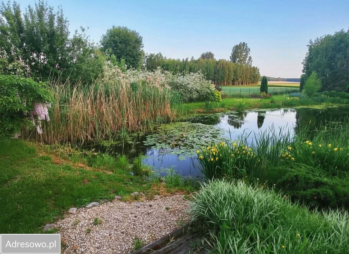 dom wolnostojący, 8 pokoi Jeżew. Zdjęcie 16