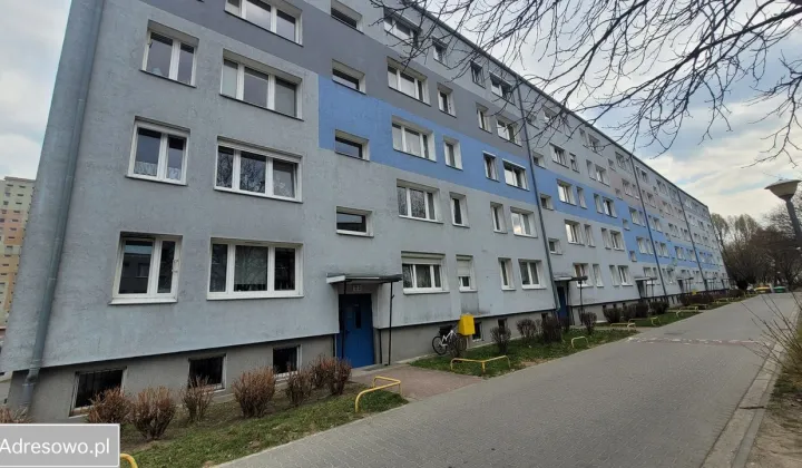 Mieszkanie 4-pokojowe Poznań Winogrady, os. Wichrowe Wzgórze