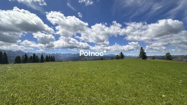 Działka rolna Rzepiska. Zdjęcie 2