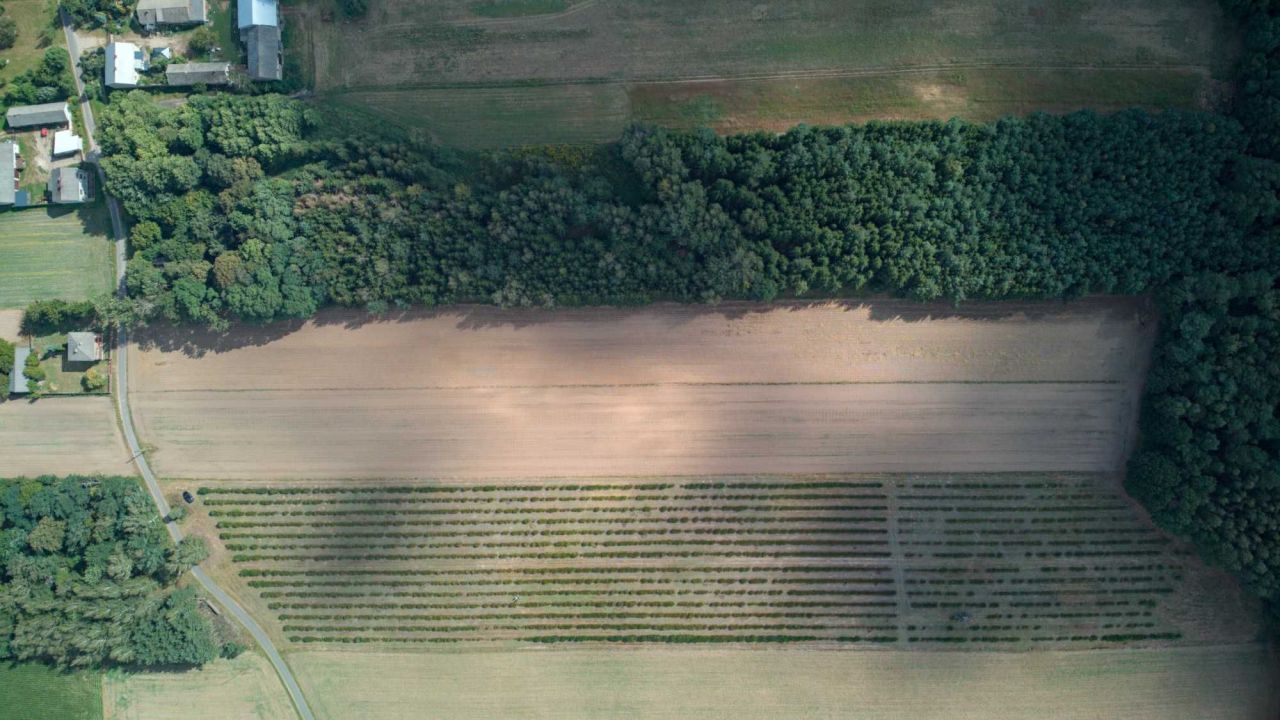 Działka Kalenice. Zdjęcie 4