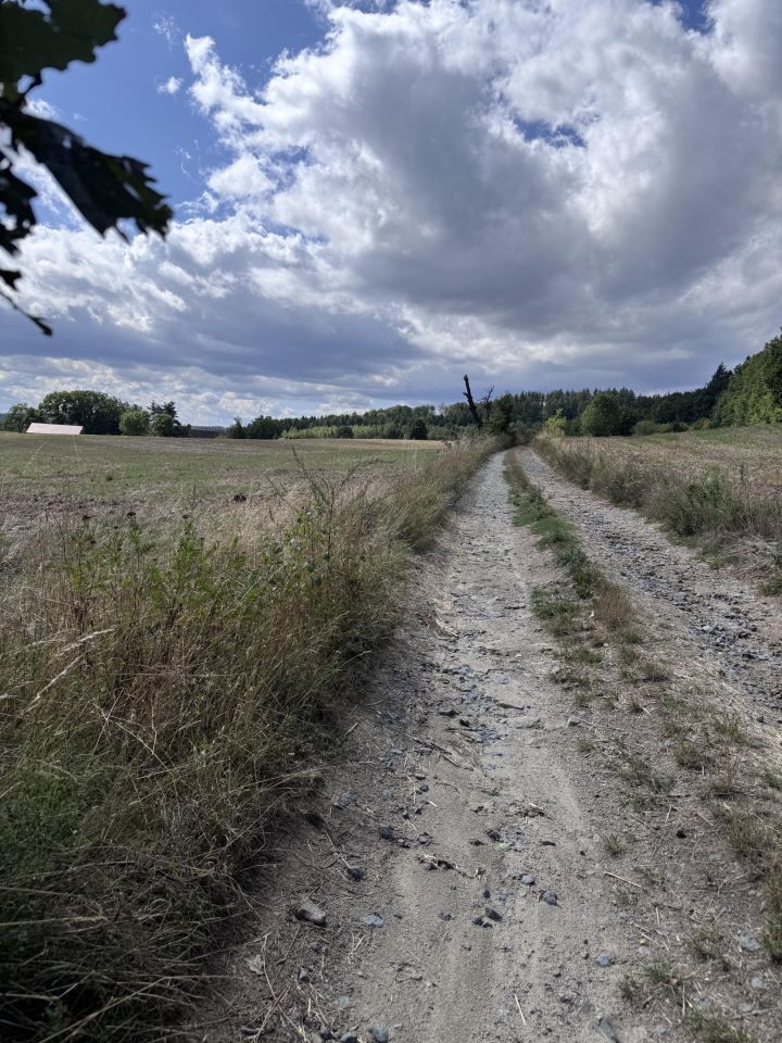 Działka budowlana Roztocznik Dobrocinek, Dobrocinek. Zdjęcie 4