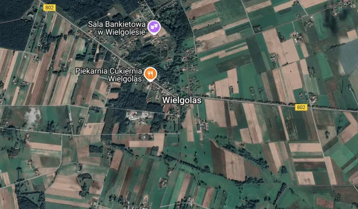 inny, 10 pokoi Wielgolas, ul. Mińska