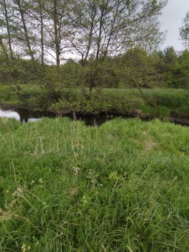 Działka rolno-budowlana Ciężkowiczki. Zdjęcie 3