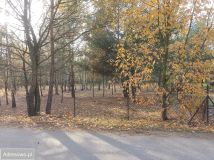 Działka budowlana Stare Skoszewy. Zdjęcie 1