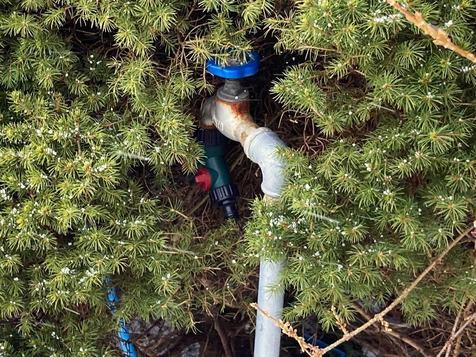 Działka rod Gdynia Mały Kack, ul. Spokojna. Zdjęcie 6