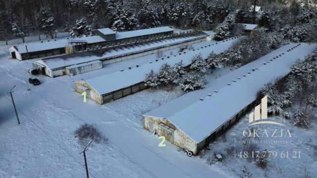 Działka inwestycyjna Wysoka Głogowska. Zdjęcie 4