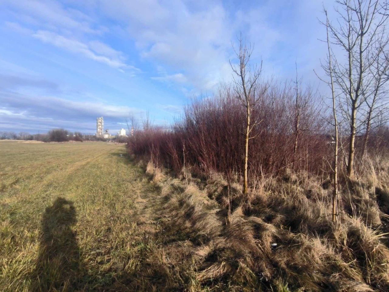 Działka budowlana Konin. Zdjęcie 4