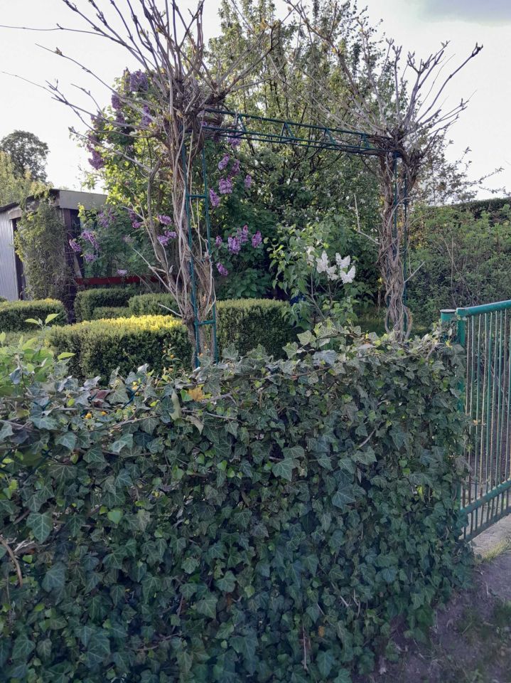 Działka rod Komadzyn. Zdjęcie 4