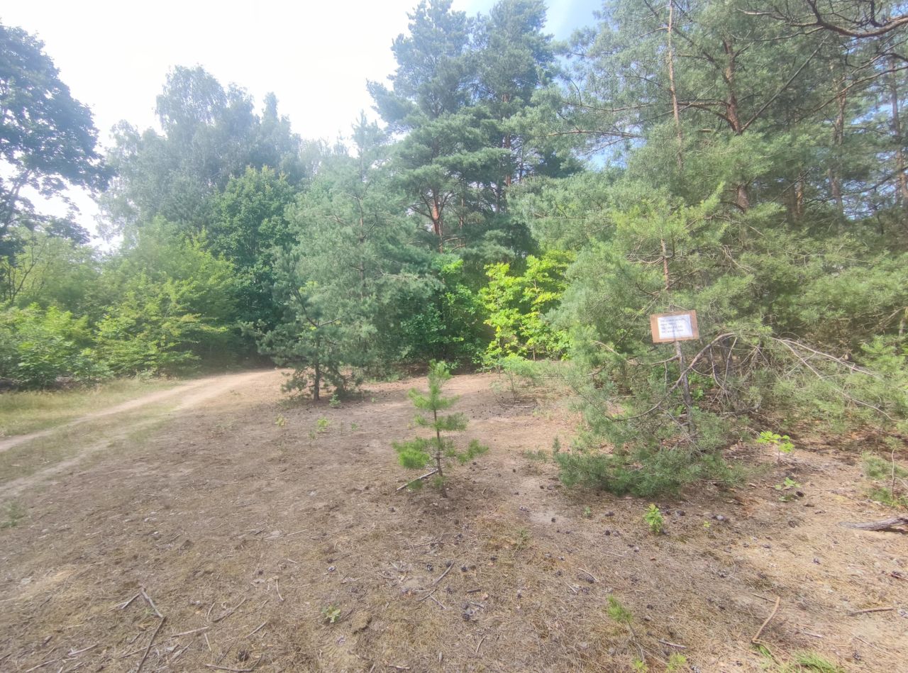 Działka siedliskowa Kuligów, ul. Okrężna. Zdjęcie 18