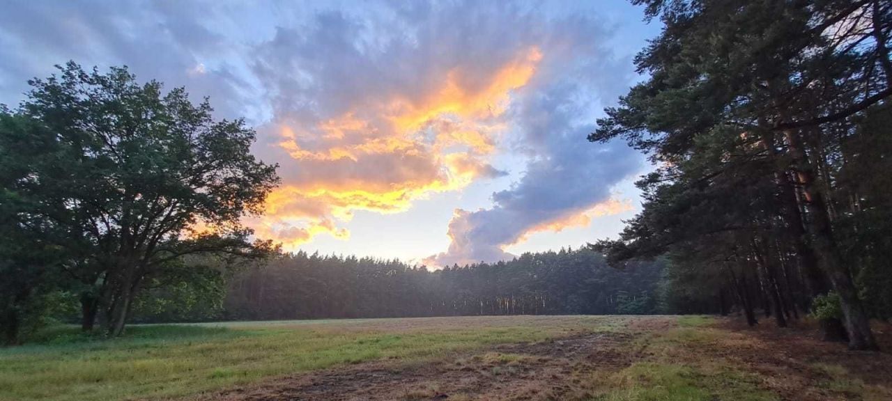 Działka budowlana Borek. Zdjęcie 4
