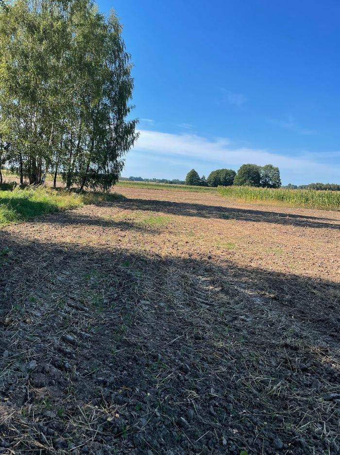 Działka rekreacyjna Złotniki. Zdjęcie 5