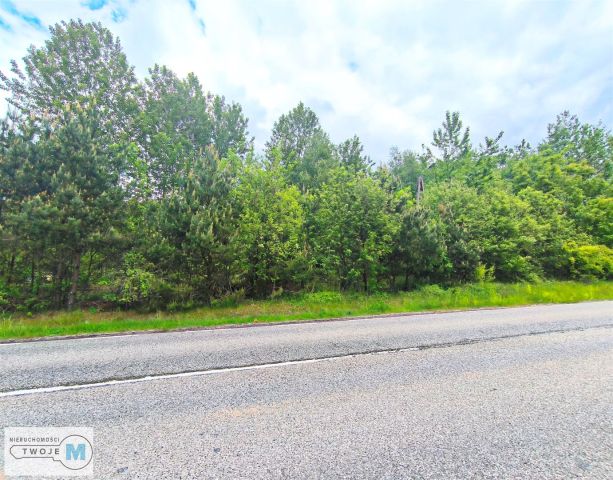 Działka budowlana Chełmce. Zdjęcie 2