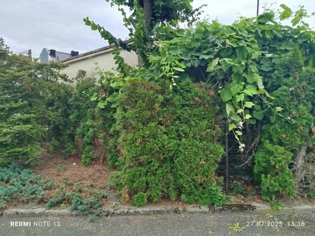 Działka rod Gostyń. Zdjęcie 1