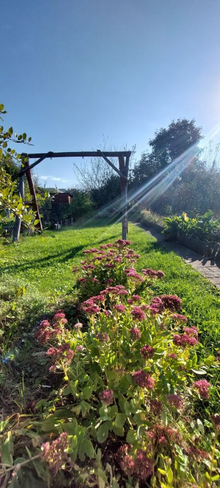 Działka rod Opole Zaodrze. Zdjęcie 4