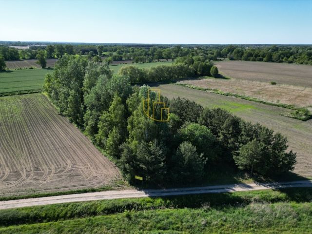 Działka Ligota. Zdjęcie 4