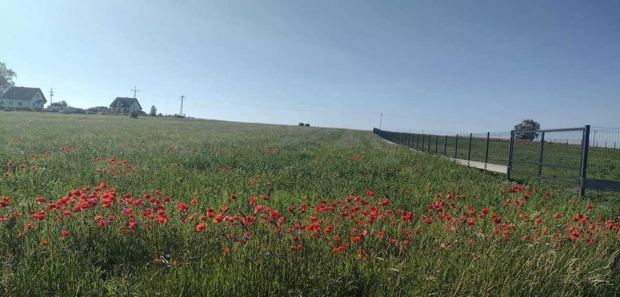 Działka budowlana Grabowo. Zdjęcie 3