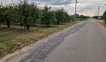 Działka rolna Pęcław, B