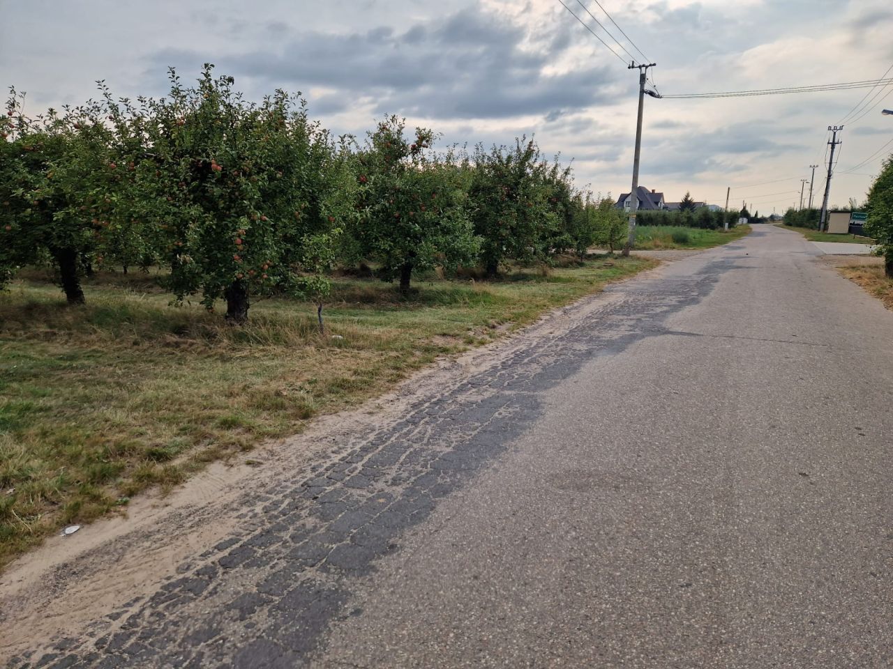 Działka rolna Pęcław. Zdjęcie 2