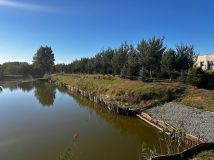 Działka rolna Kędzierzyn-Koźle Kłodnica. Zdjęcie 4