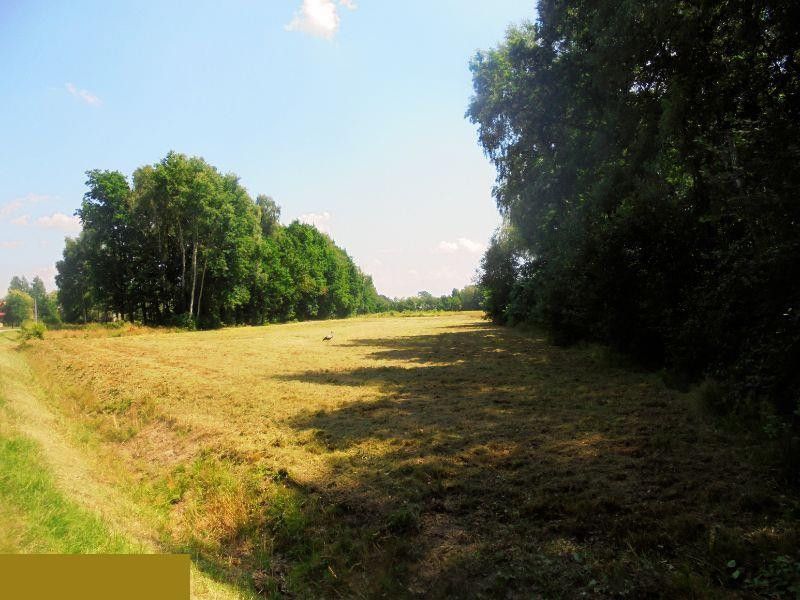 Działka budowlana Ruda. Zdjęcie 4