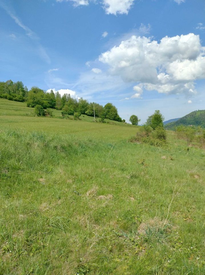 Działka rolna Świnna. Zdjęcie 3