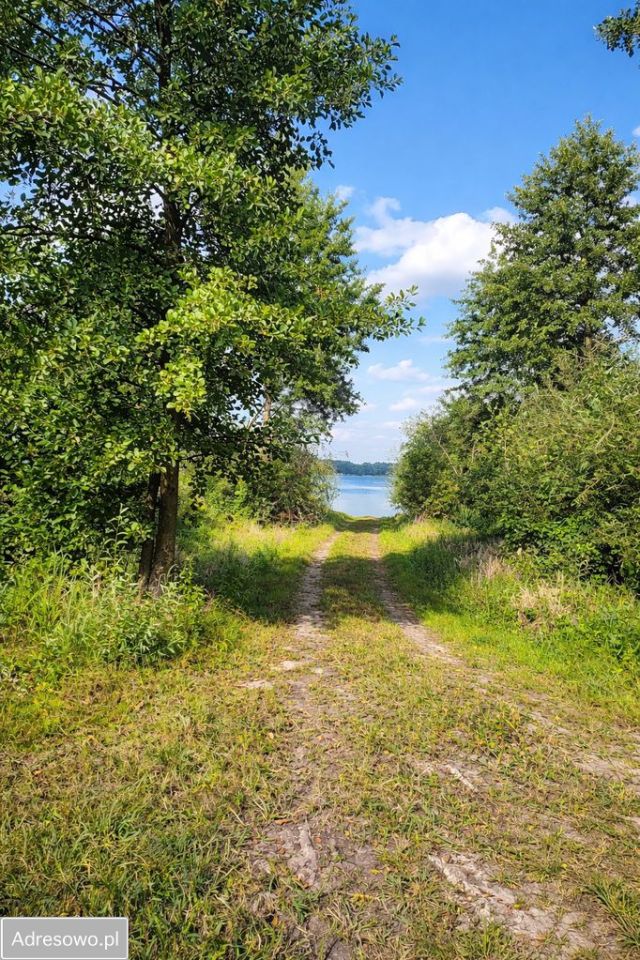 dom wolnostojący, 3 pokoje Żabiniec. Zdjęcie 6