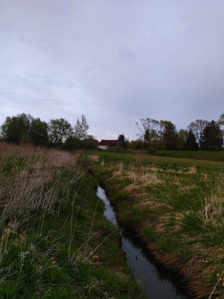 Działka budowlana Lesiska. Zdjęcie 4