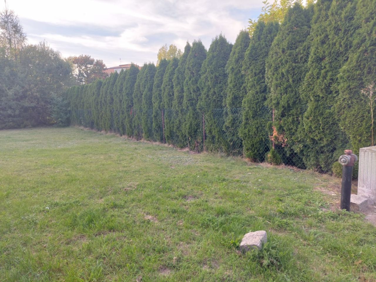Działka budowlana Syców, ul. Wierzbowa. Zdjęcie 3