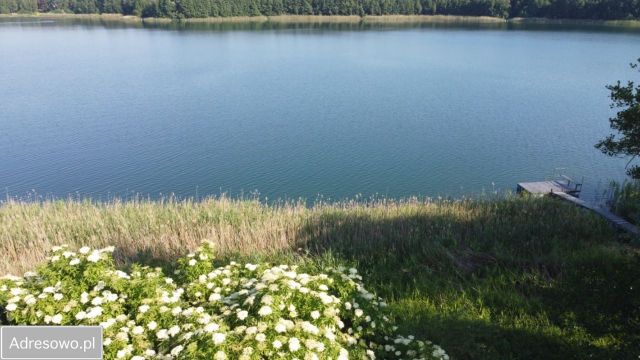 Działka rekreacyjna Anastazewo. Zdjęcie 1