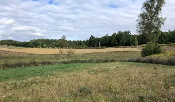 Działka budowlana Mrągowo Leśna Droga, ul. Leśna Droga