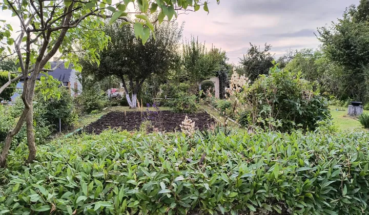 Działka rod Słupsk Zatorze, ul. Stefana Banacha