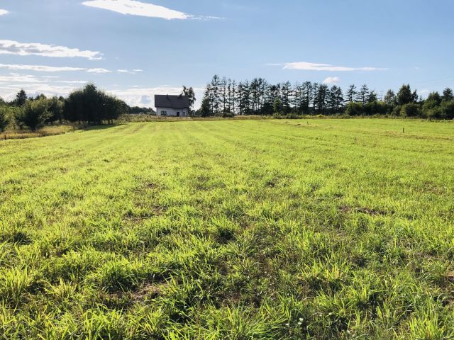 Działka budowlana Strzelino. Zdjęcie 1