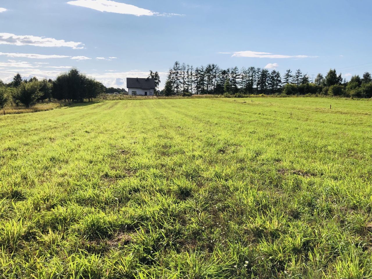 Działka budowlana Strzelino