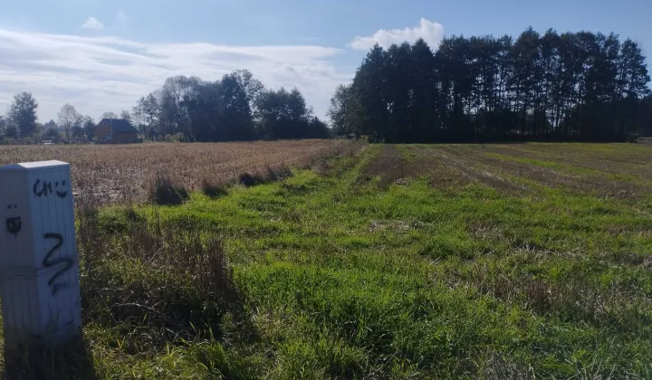 Działka budowlana Urszulin