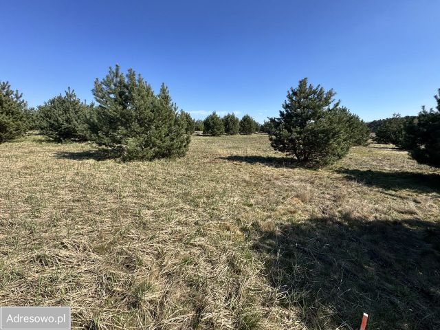 Działka budowlana Czmoniec. Zdjęcie 1