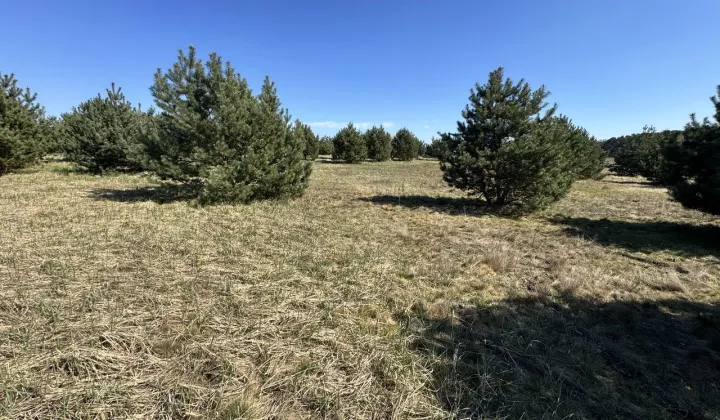 Działka budowlana Czmoniec